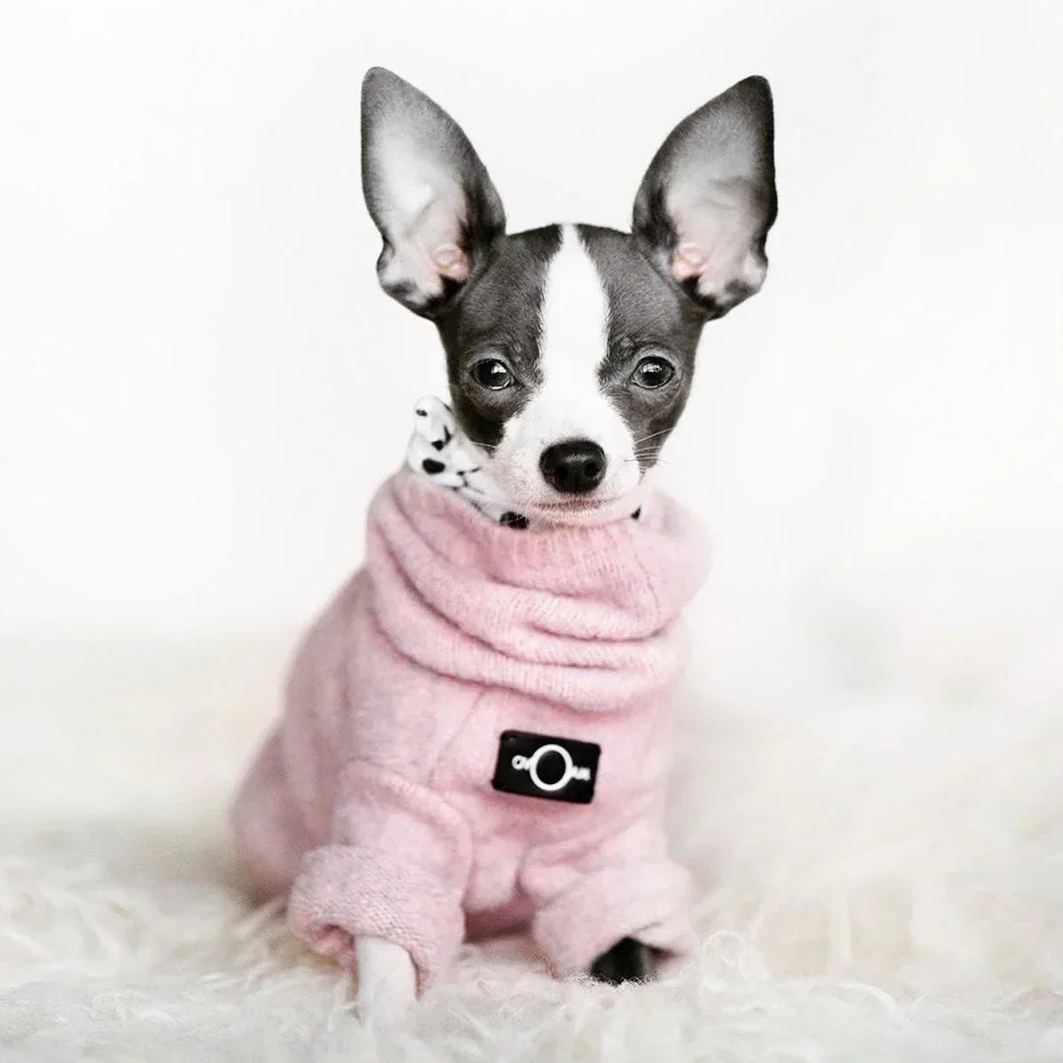Luxury Sweaters - The Royal London Pet Co.