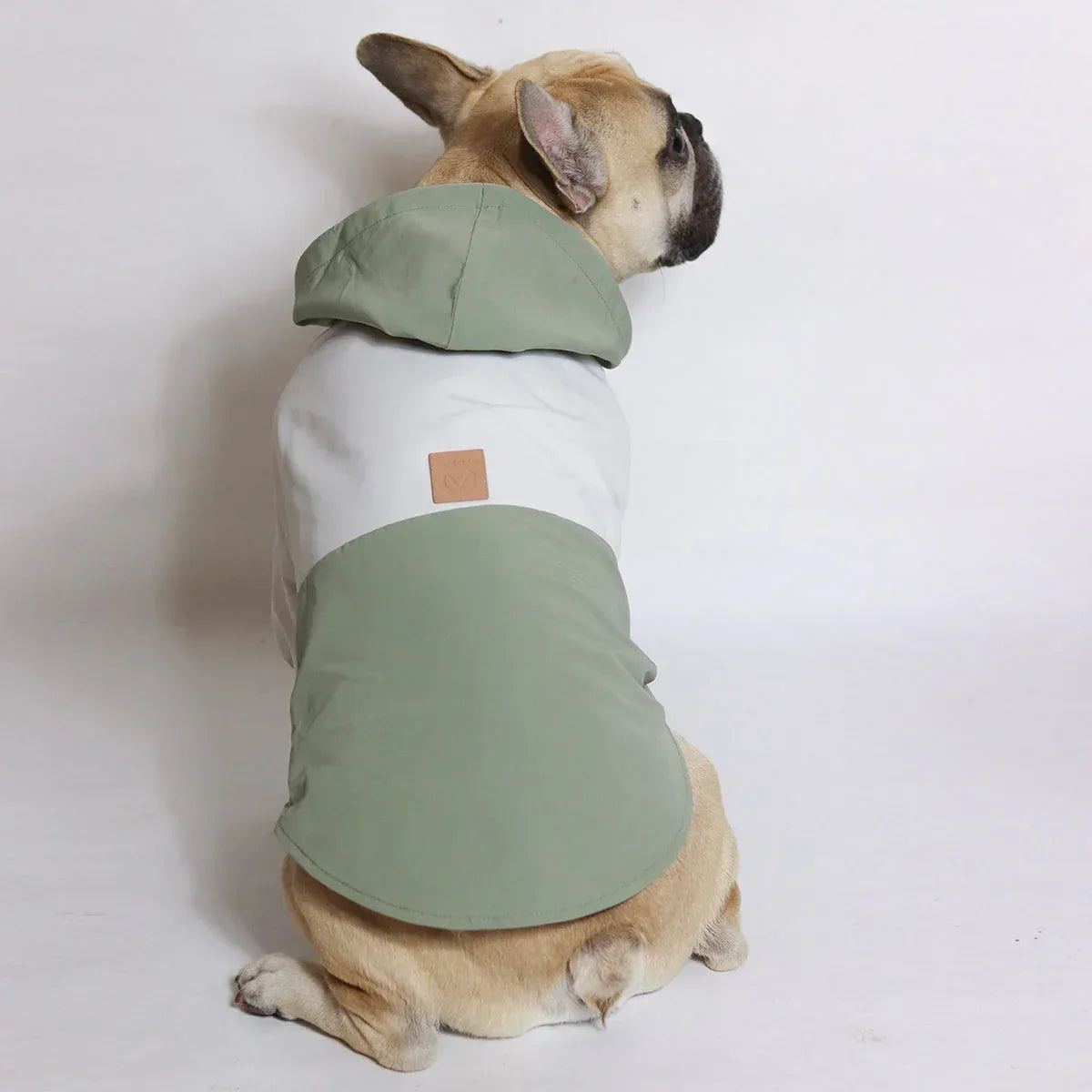 Couture Coats - The Royal London Pet Co.
