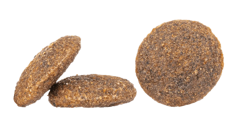 France - The Royal London Pet Co.