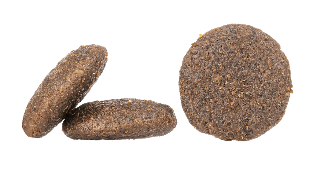 Canada - The Royal London Pet Co.