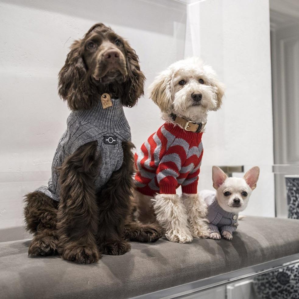 Classic Jumper - The Royal London Pet Co.