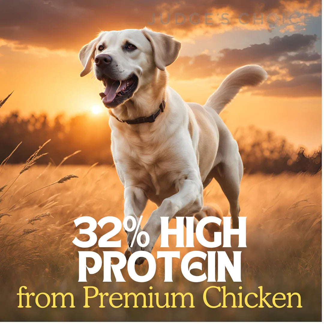 Country Pursuit Cold Pressed Chicken & Sweet Potato - 10kg - The Royal London Pet Co.