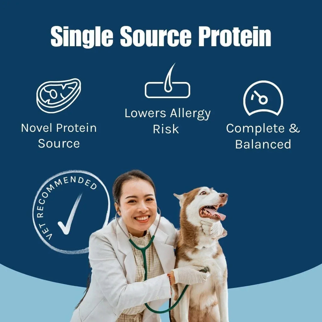 France - The Royal London Pet Co.