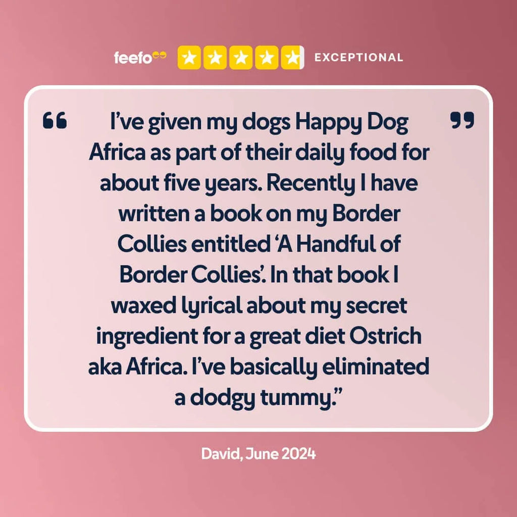 Africa - The Royal London Pet Co.