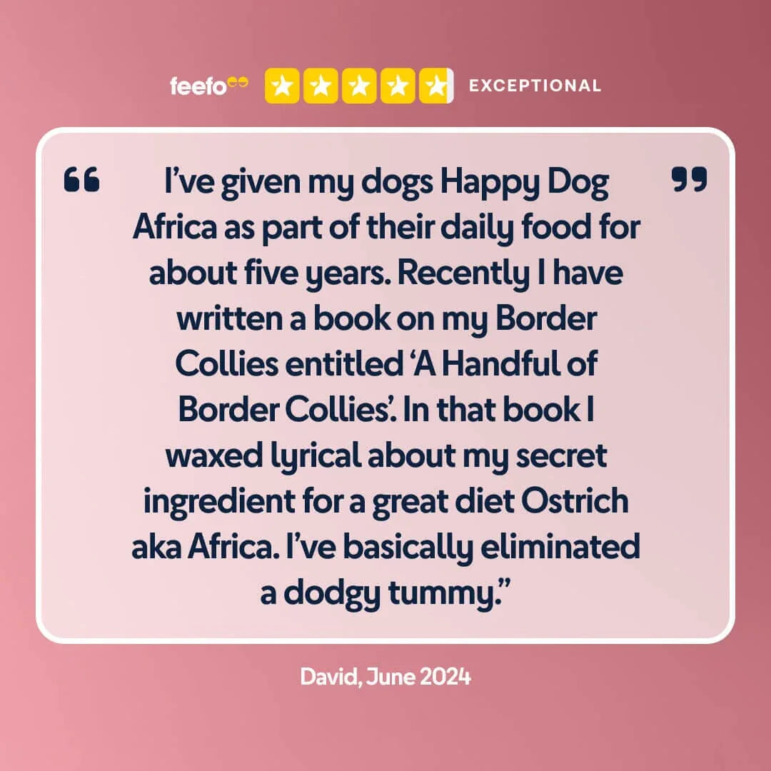 Africa - The Royal London Pet Co.