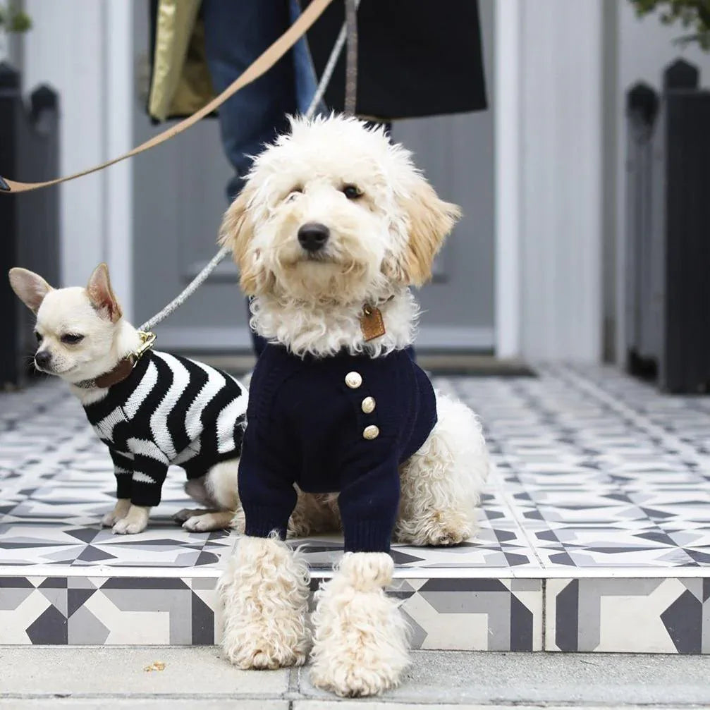 Button Jumper - The Royal London Pet Co.