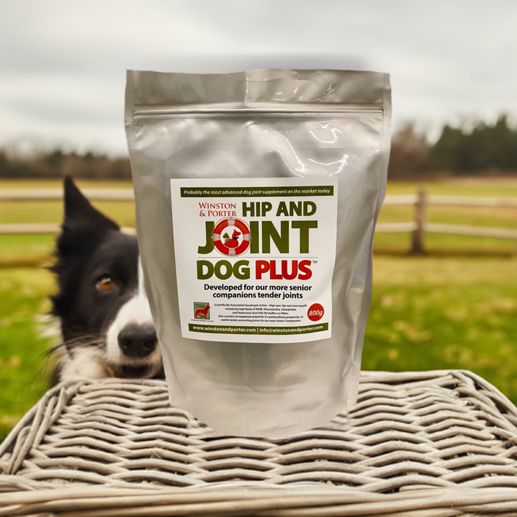 Hip & Joint Dog PLUS – Premium High-Strength Canine Joint Support Powder (UK)