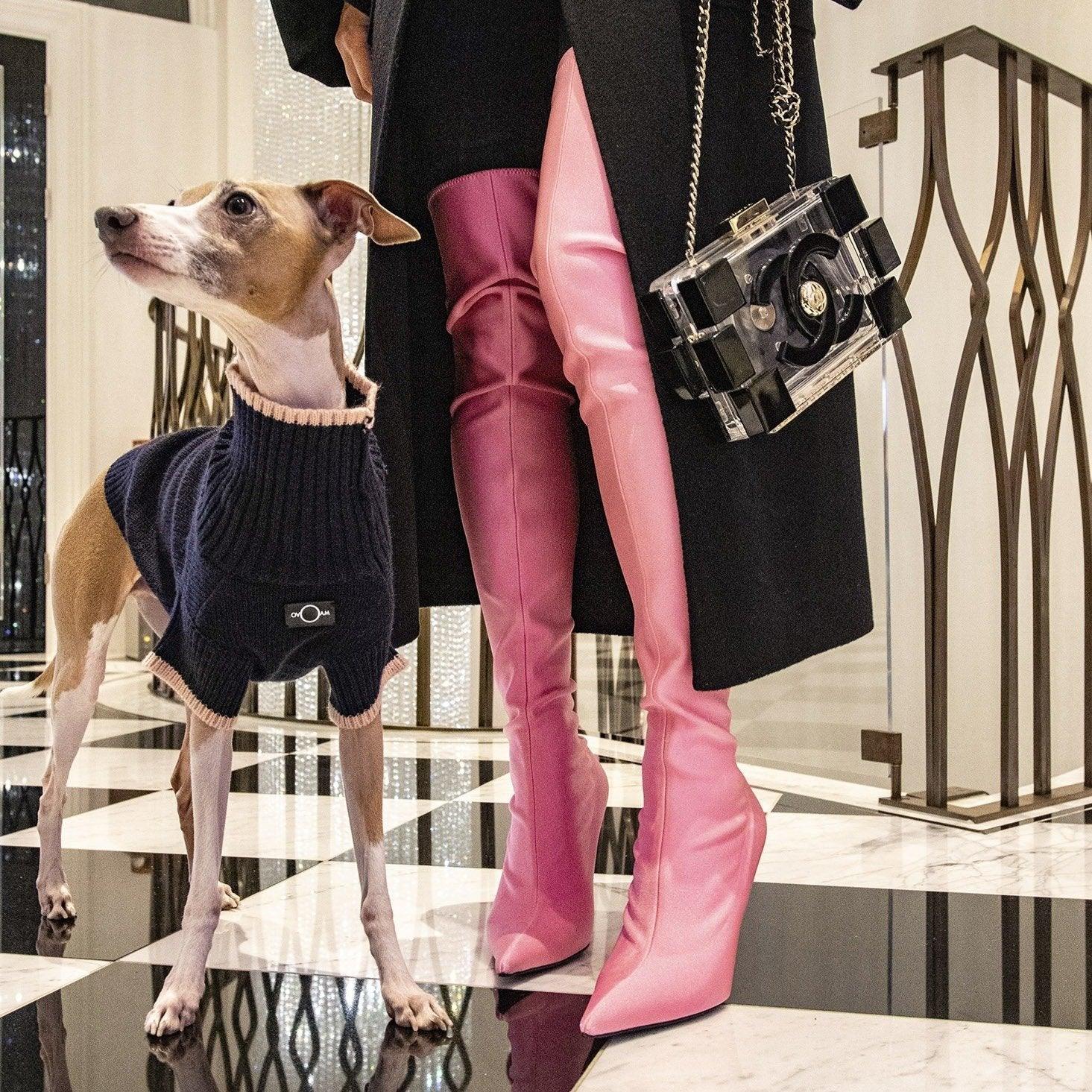 Contrast Turtleneck Jumper - The Royal London Pet Co.