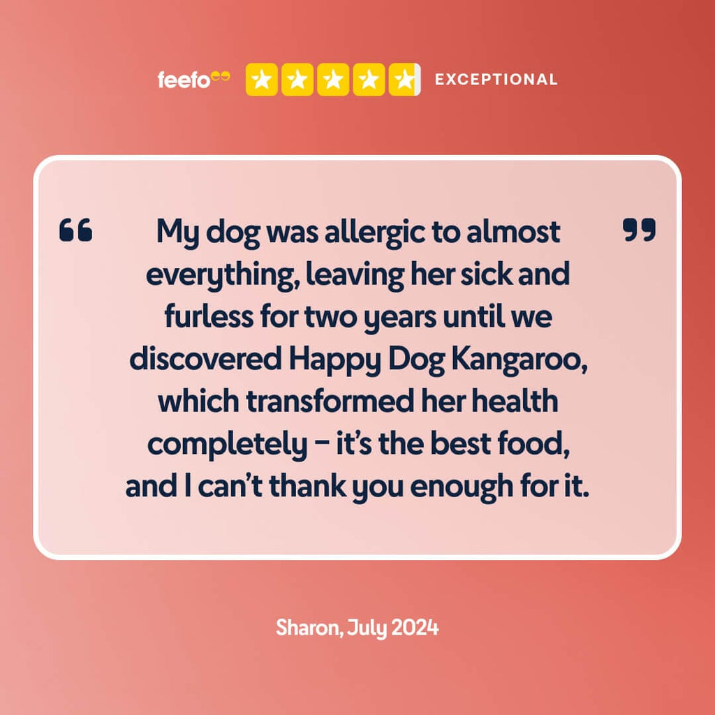 Pure Kangaroo Wet Dog Food (Australia)