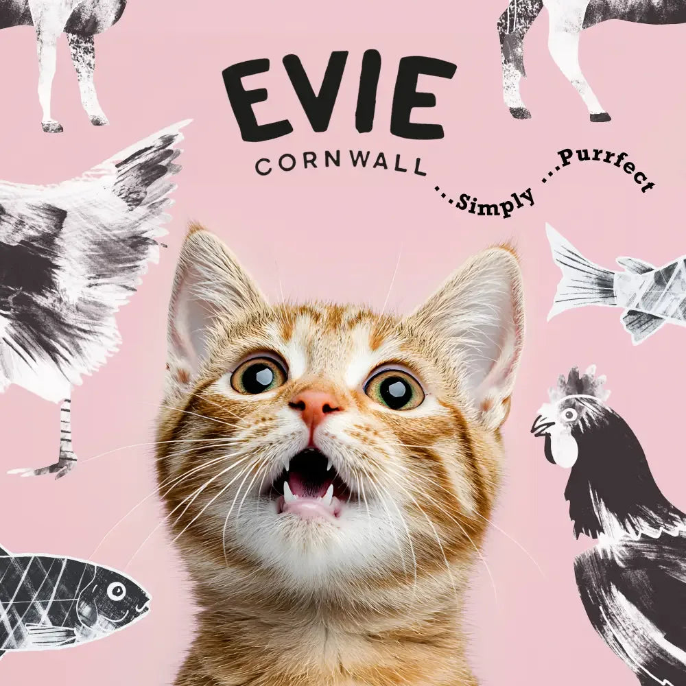 Evie Natural Dry Cat Food Salmon with Whitefish - The Royal London Pet Co.
