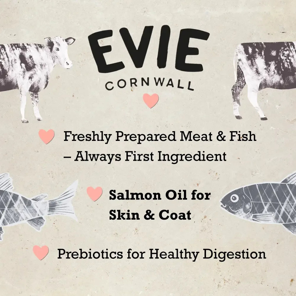 Evie Natural Dry Cat Food Salmon with Whitefish - The Royal London Pet Co.