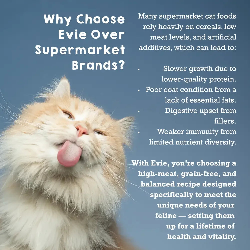 Evie Natural Dry Cat Food Salmon with Whitefish - The Royal London Pet Co.