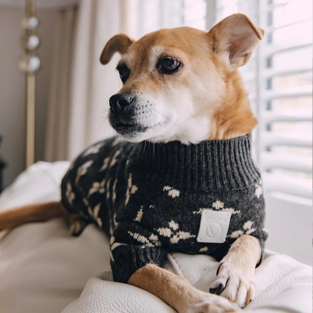 Floral Jacquard Jumper - The Royal London Pet Co.