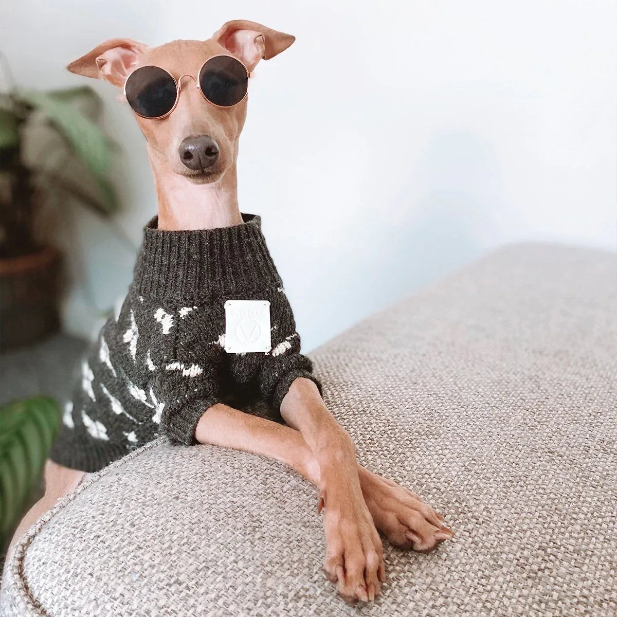 Floral Jacquard Jumper - The Royal London Pet Co.