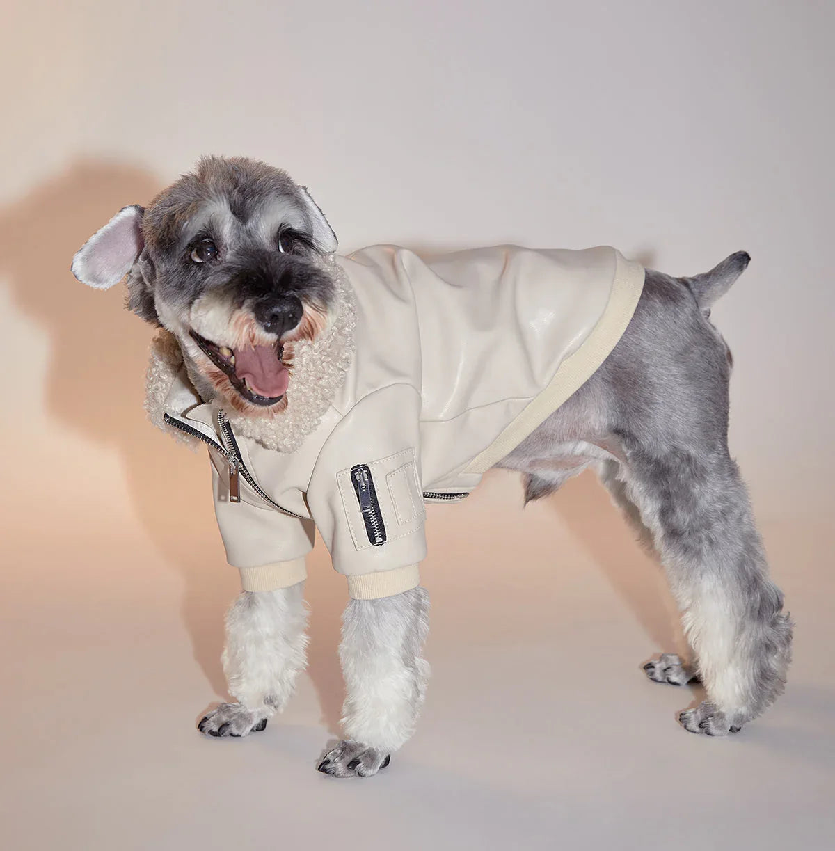 Faux Fur Leather Jacket - The Royal London Pet Co.