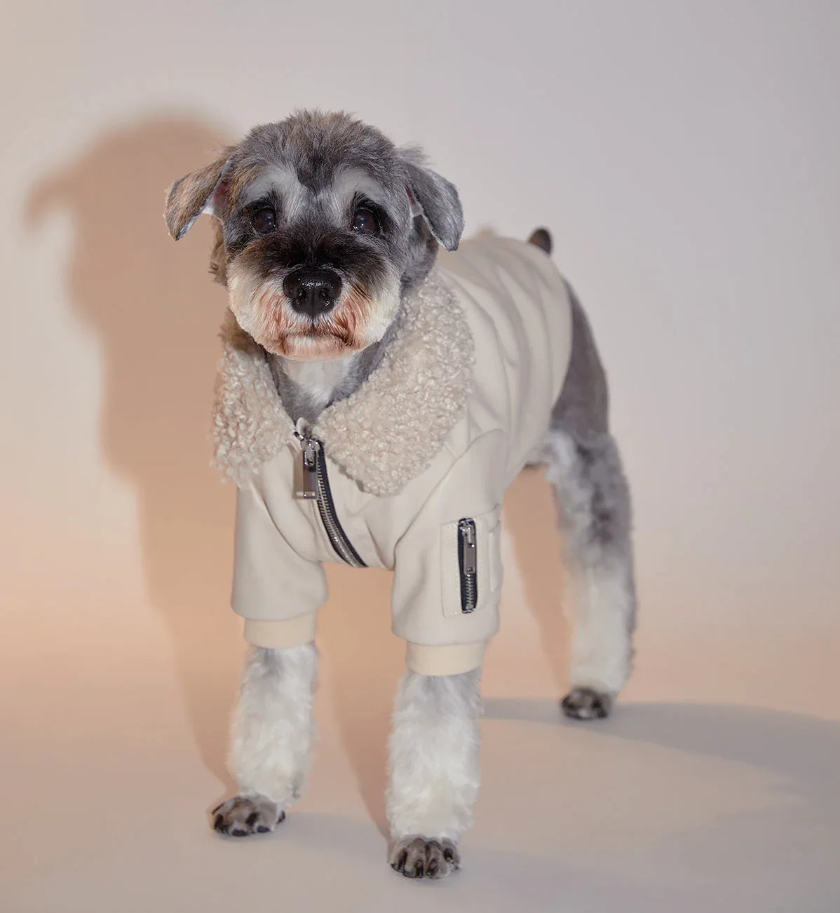 Faux Fur Leather Jacket - The Royal London Pet Co.