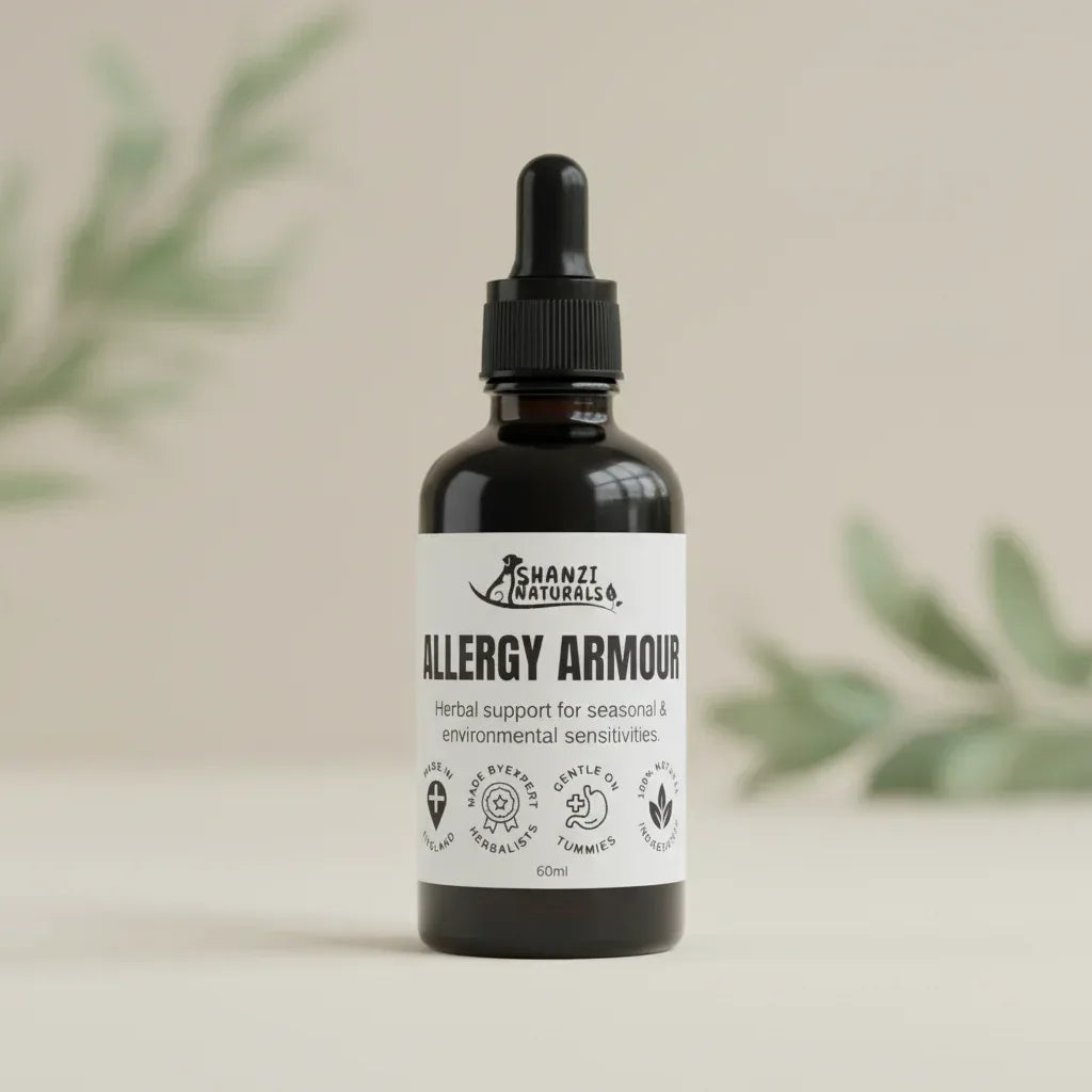 Allergy Armour Tincture - 100ml - The Royal London Pet Co.